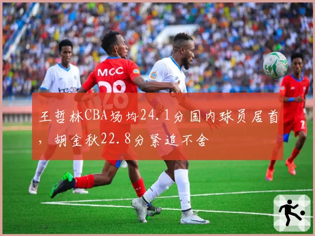 王哲林CBA场均24.1分国内球员居首,胡金秋22.8分紧追不舍
