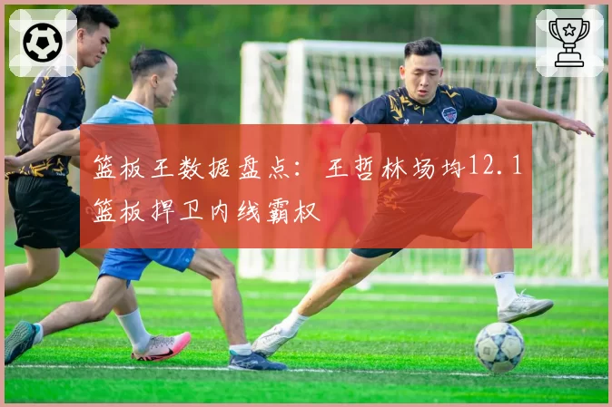 篮板王数据盘点:王哲林场均12.1篮板捍卫内线霸权