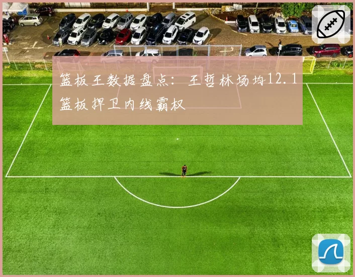篮板王数据盘点:王哲林场均12.1篮板捍卫内线霸权