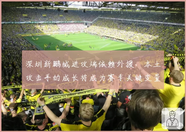 深圳新鹏城进攻端依赖外援，本土攻击手的成长将成为赛季关键变量？